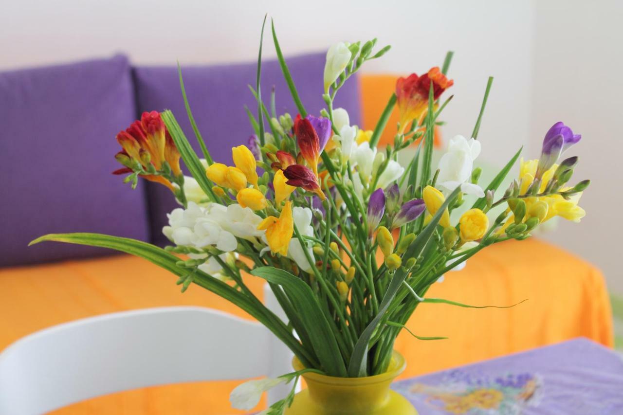 Apartments Nejasmic - Little House For Peaceful And Domestic Vacation Бол Екстер'єр фото